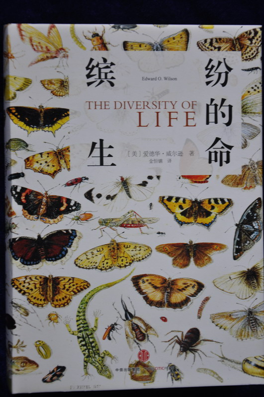 历史文献